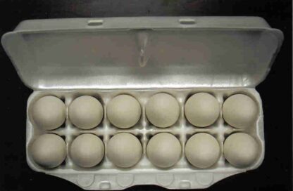 1 Dozen of White Ceramic Eggs