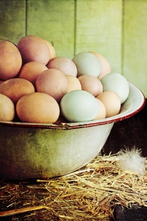 Promoting Healthy Egg Laying