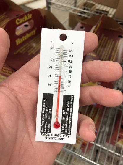 Small Thermometer