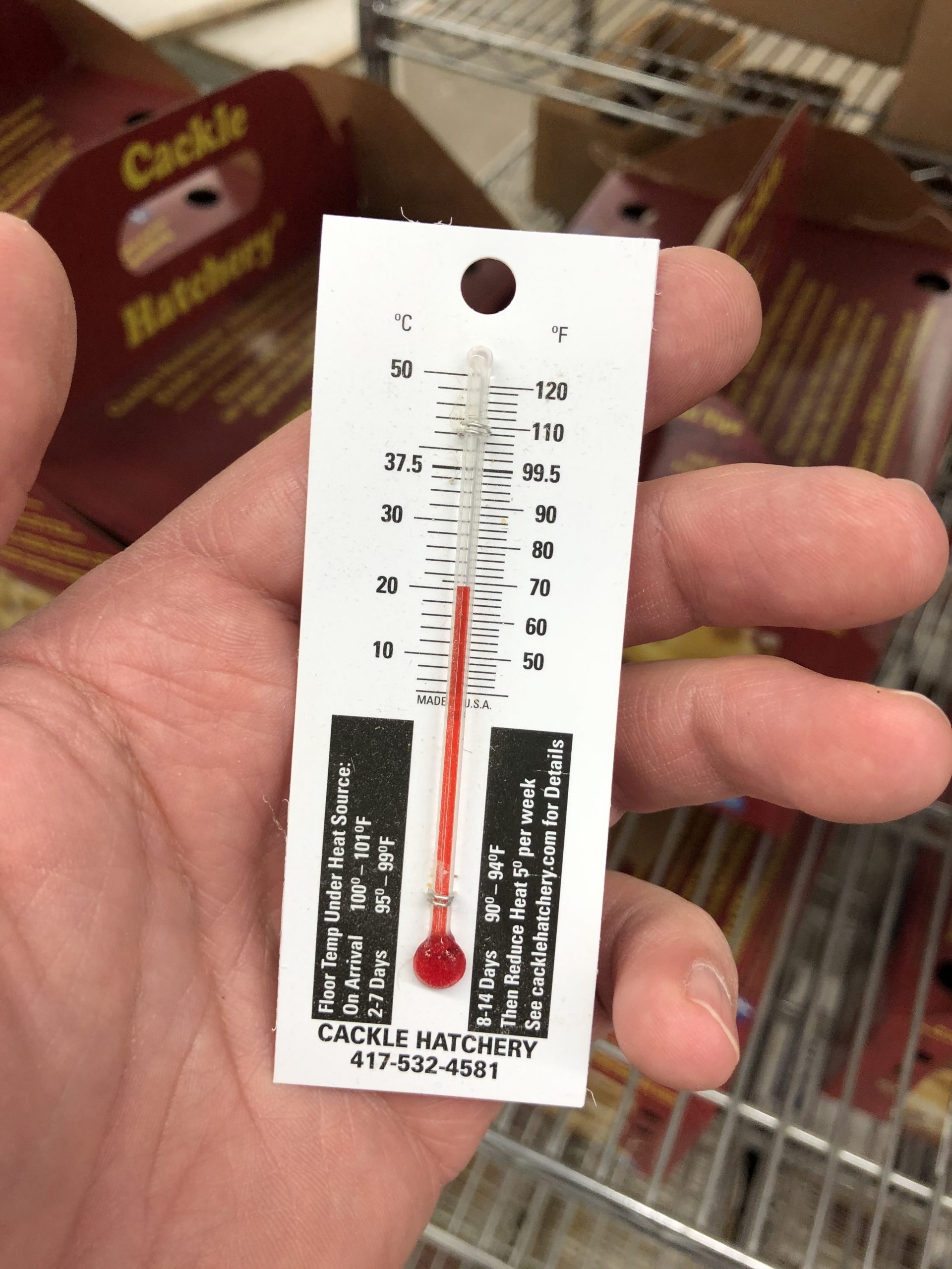https://www.cacklehatchery.com/wp-content/uploads/2015/09/Small-Thermometer-1-scaled.jpg