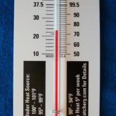 thermometer