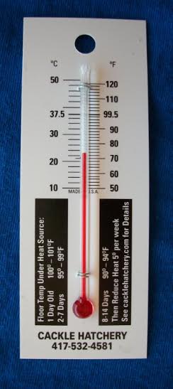 Poultry Thermometer Poultry/Small Animal