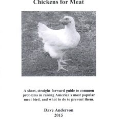 Raising Cornish-Cross Chickens For Meat