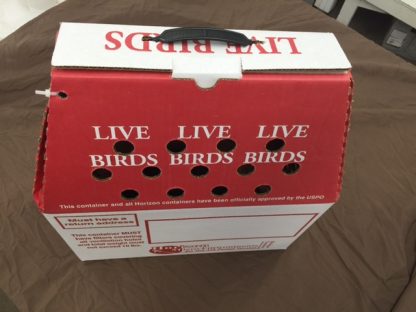 Horizon Mirco-Environments Grown Fowl Shipping Boxes-5 Pack-4403