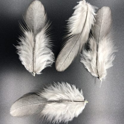 BLUE OE STD FEATHERS