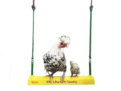 Chicken Swing