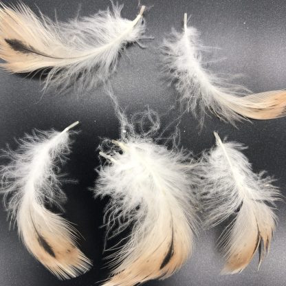 Silver Appleyard Duck Feathers