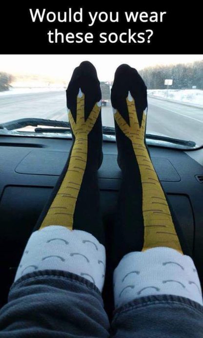 Chicken Socks