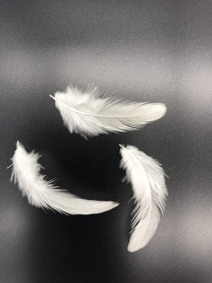 White Phoenix Standard feathers