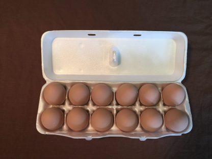 1 Dozen of Brown Ceramic Eggs-6192
