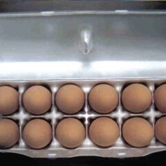 1 Dozen of Ceramic Eggs