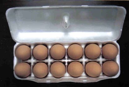 1 Dozen of Ceramic Eggs