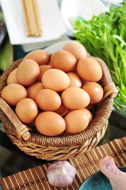 Free Range New Hampshire Chicken Eggs