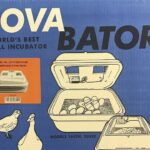 2370 Hovabator Incubator