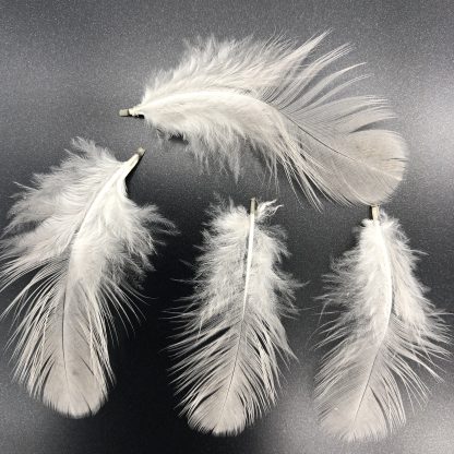 Lavender Orpington Chicken Feathers