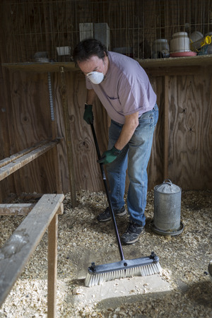 Cleaning a Chicken Coop