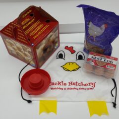 Cackle Hatchery Subscription box