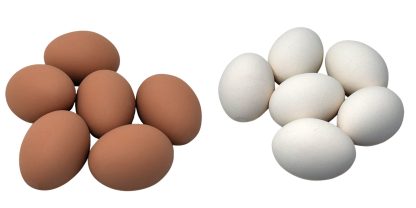 Ceramic Nest Eggs – 6 Pack