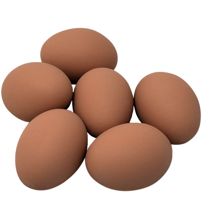 Ceramic Nest Eggs – 6 Pack