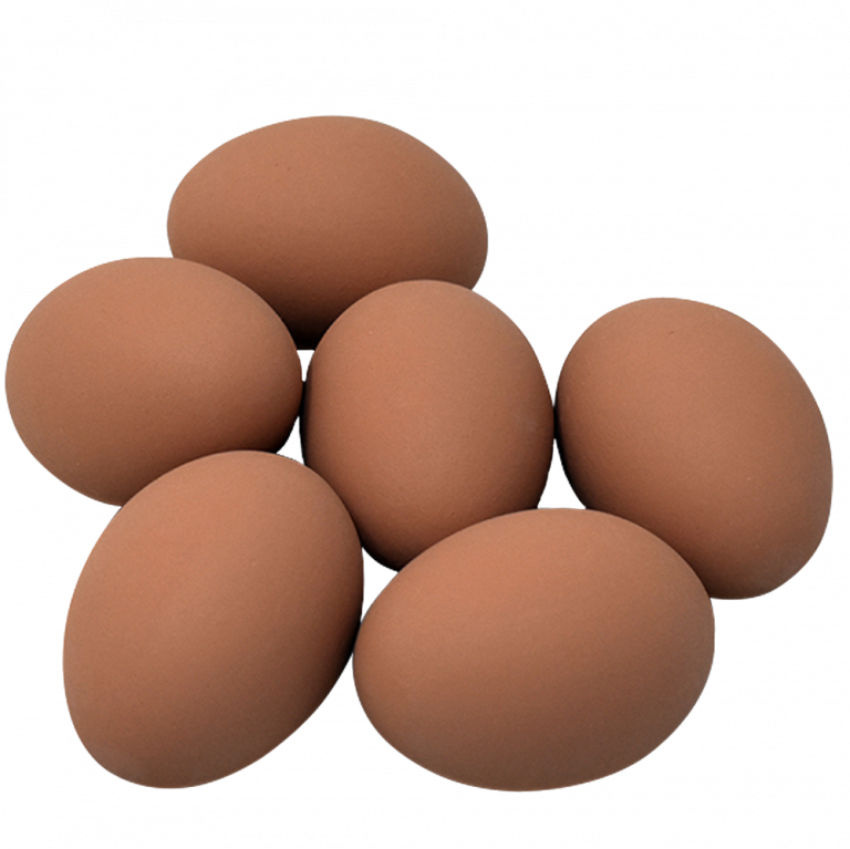 Ceramic Nest Eggs – 6 Pack