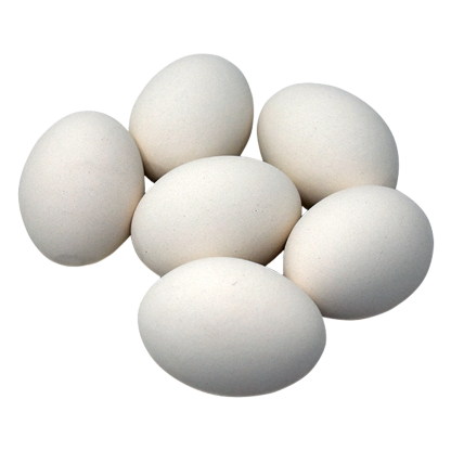 Ceramic Nest Eggs – 6 Pack