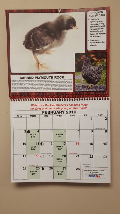 Cackle Hatchery® Calendar
