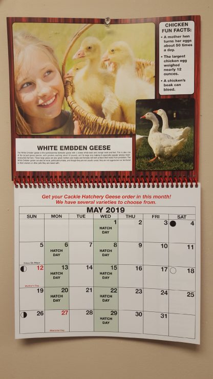 Cackle Hatchery® Calendar