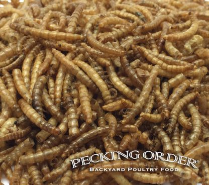 Pecking Order® Dried Mealworms