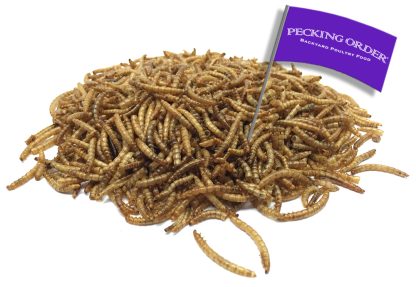 Pecking Order® Dried Mealworms