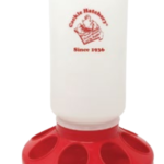 Cackle’s 1 Quart Feeder