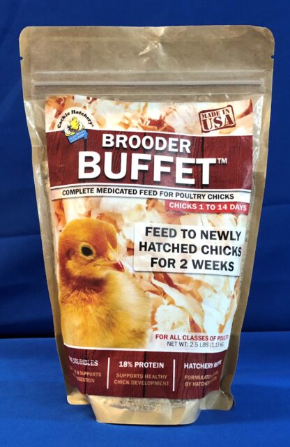 Brooder Buffet