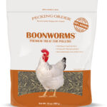 Pecking Order BOONWORMS™