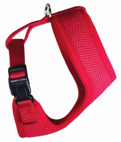 red Chicken Harness