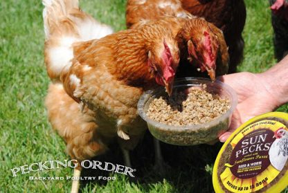 Pecking Order Sun Pecks™-9062