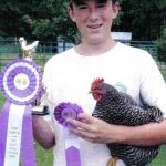 country fair barred rock chicken winner