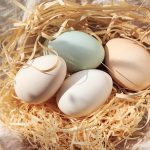 Goose Eggs