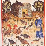 Medieval Chickens