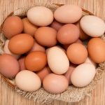 Brown Eggs from Productive Hen