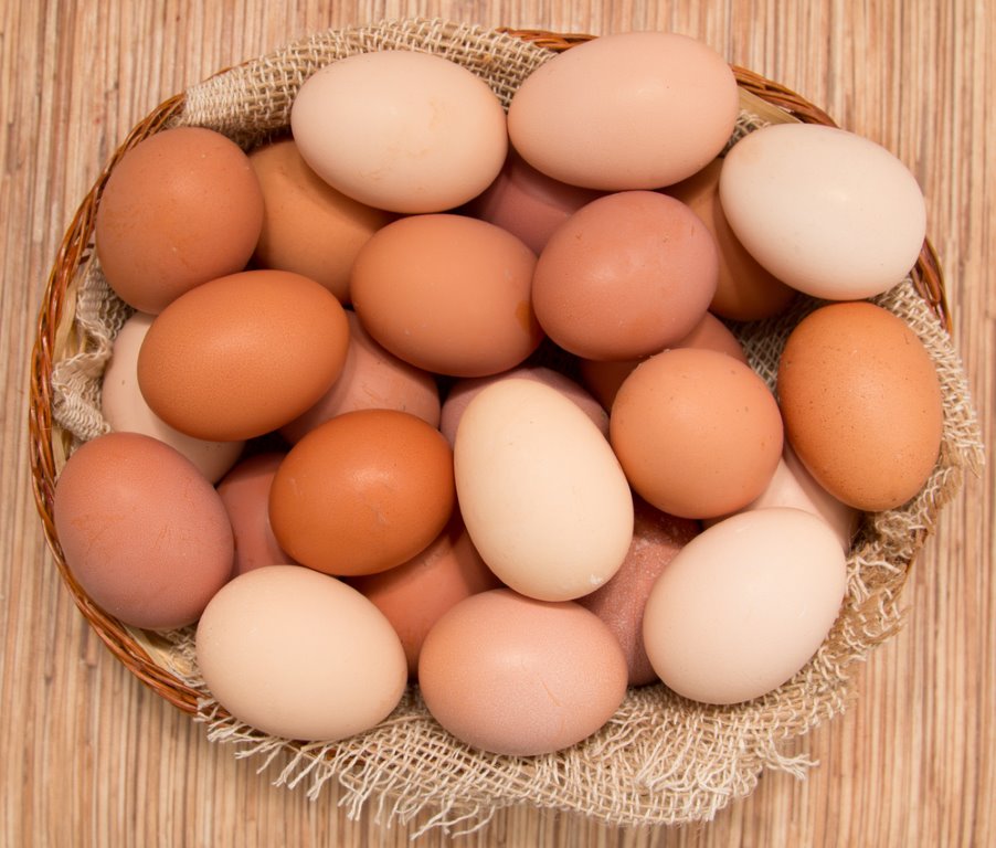 Brown Eggs from Productive Hen