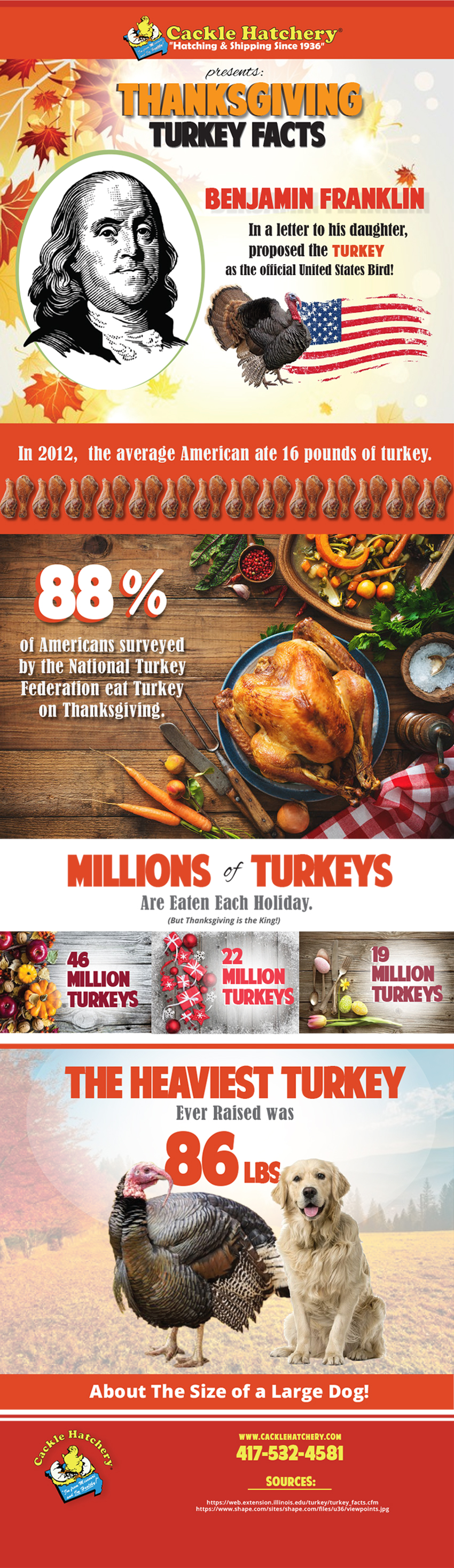 Turkey Facts Infographic