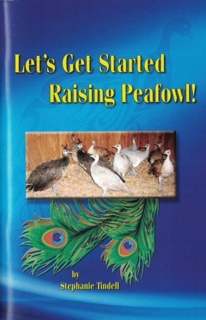 Let's Get Started Raising Peafowl