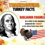 Turkey Facts Infographic