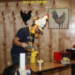 magic show at chicken festival