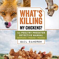 What's Killing My Chickens?: The Poultry Predator Detective Manual