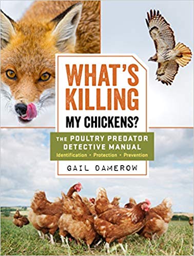 What's Killing My Chickens?: The Poultry Predator Detective Manual