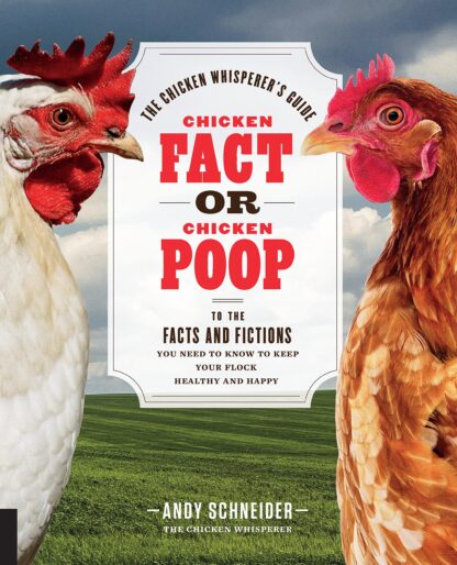 Chicken Fact or Chicken Poop by Andy Schneider