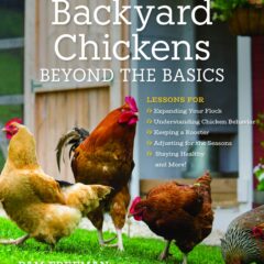 Backyard Chickens by Pam Freeman