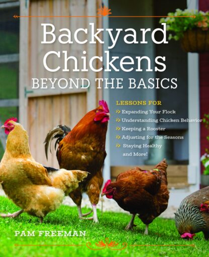 Backyard Chickens by Pam Freeman