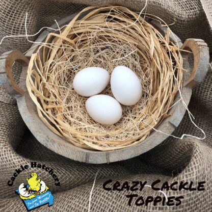 Crazy Cackle Toppies Eggs