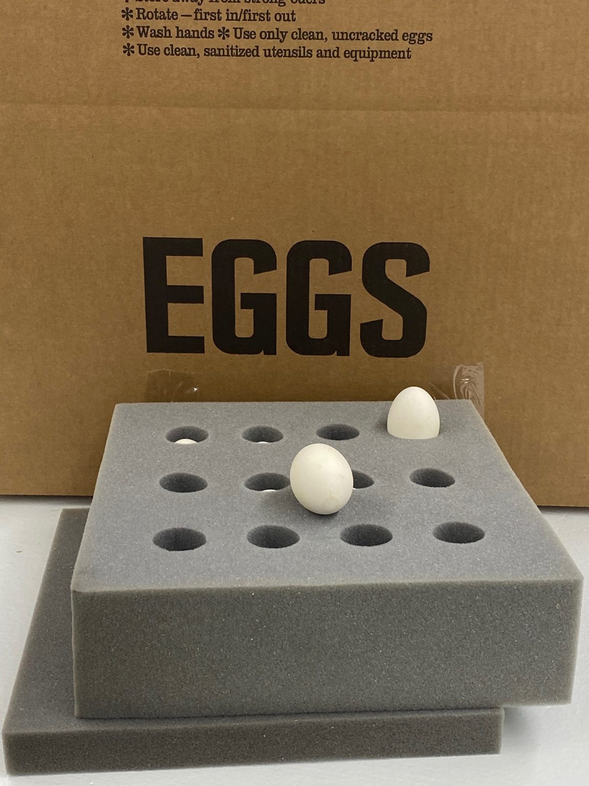 Foam Egg Shipper Package Deal Cackle Hatchery